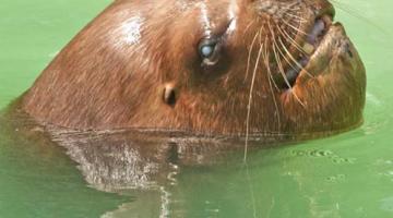 _dsc0552a