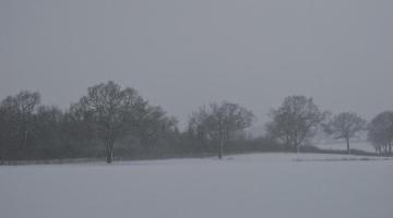 _dsc0015