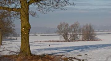 _dsc0042