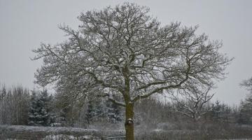 _dsc0054