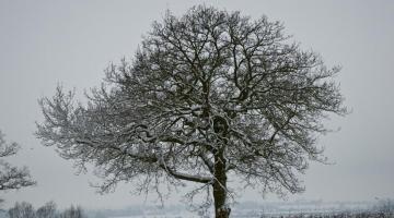 _dsc0496