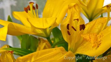 slider_x7a