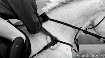 slider_y3