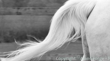 slider_y4